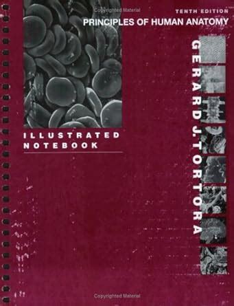 Principles of Human Anatomy Illustrated Notebook Epub