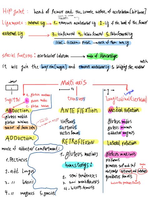 Principles of Human Anatomy Take Note Epub