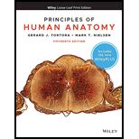 Principles of Human Anatomy WITH Premium Wiley Plus Wiley Plus Products Reader