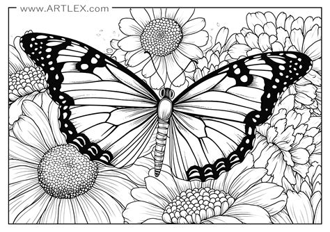 Printable Butterfly Pictures To Color