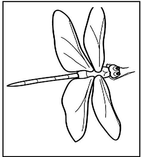 Printable Dragonfly Coloring Pages