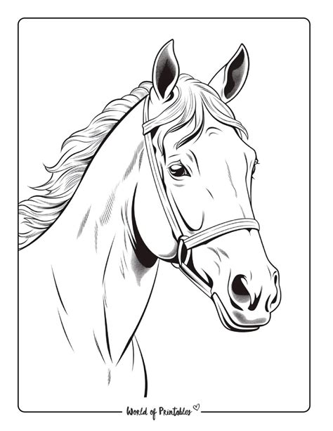 Printable Horse Coloring Pages