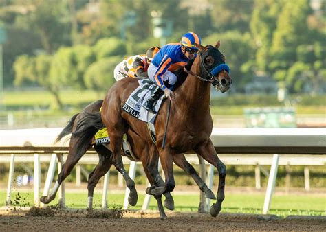 Printable Kentucky Derby Horses