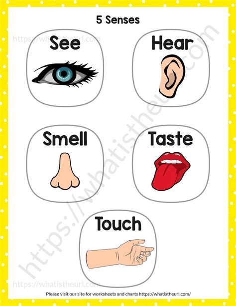 Printable Pictures Of 5 Senses