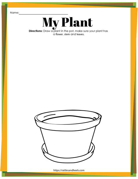 Printable Plant Activities For Preschool