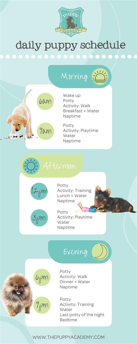 Printable Puppy Schedule