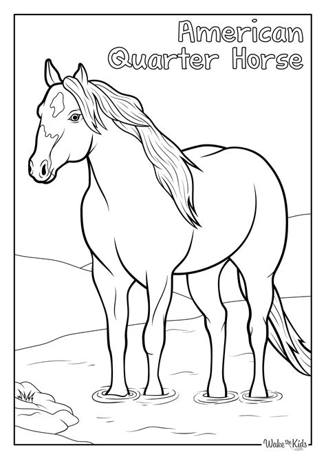 Printable Quarter