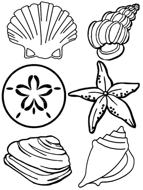 Printable Seashell Coloring Pages