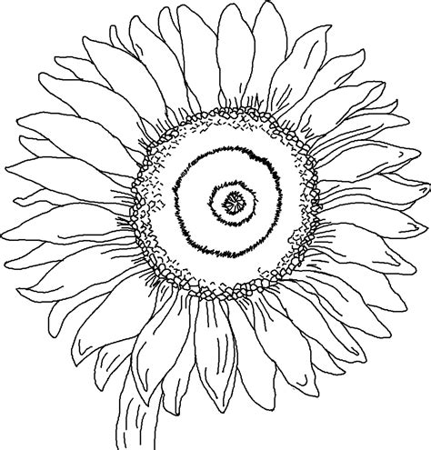 Printable Sunflower Coloring Pages