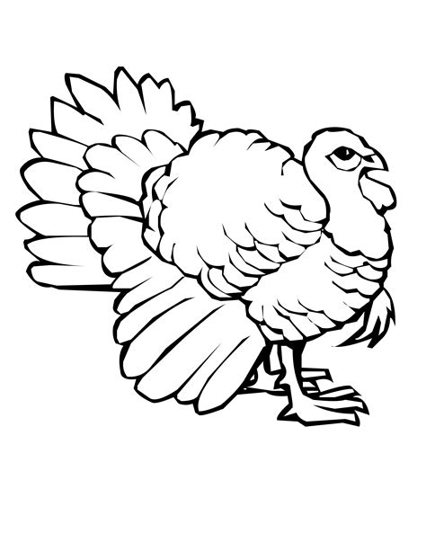 Printable Turkeys To Color