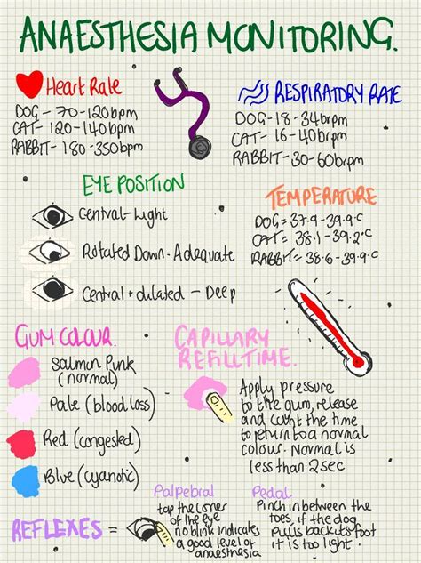 Printable Veterinary Anesthesia Monitoring Cheat Sheet