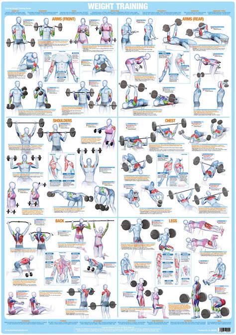 Printable Weight Lifting Program