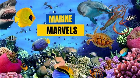 Pristine Marine Marvels