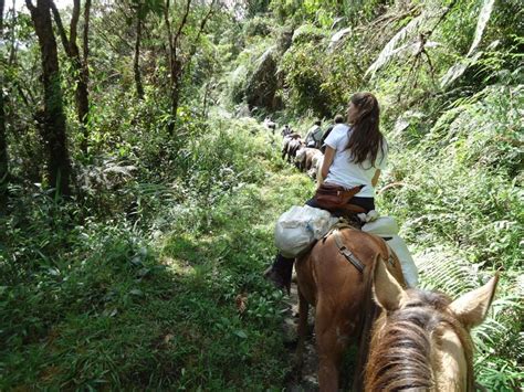 Private Horseback Riding Tours: