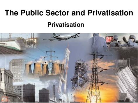 Privatisation of Public Sector Kindle Editon