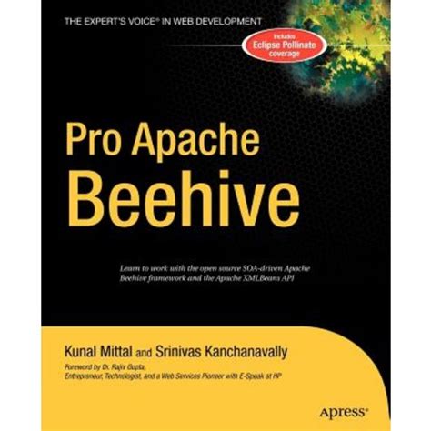 Pro Apache Beehive Doc