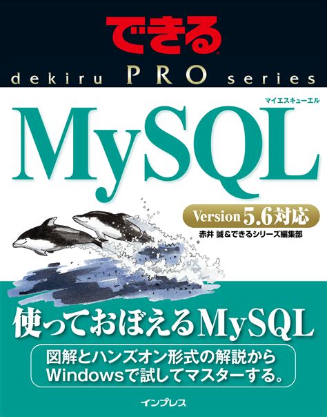 Pro MySQL Doc