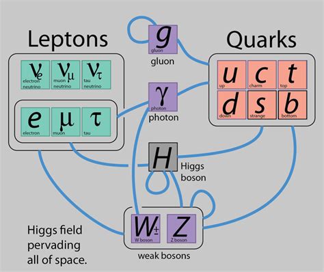 Probing the Standard Model of Particle Interactions Epub