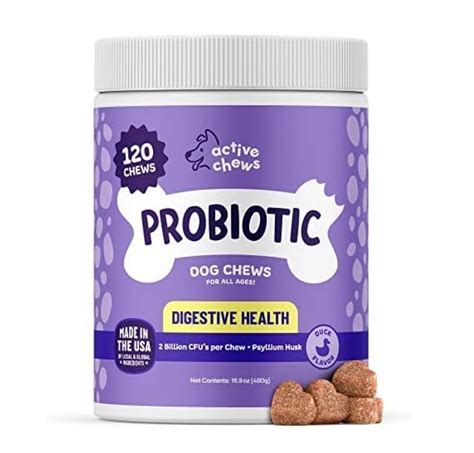 Probiotics Chews for Dogs: A Comprehensive Guide to Promoting Canine Well-Being