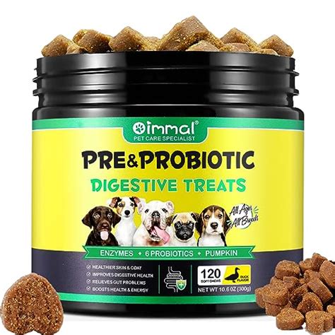 Probiotics at PetSmart: Empowering Pet Health with Beneficial Bacteria