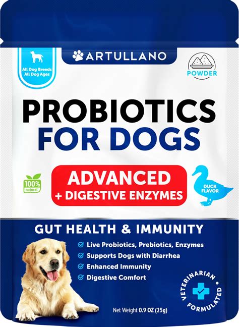 Probiotics for Dogs: Allergies and Immune Health