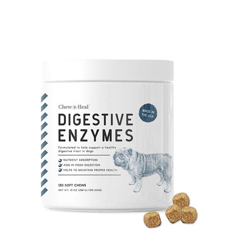 Probiotics for Dogs with Diarrhea: 10,000+ Answers to Your Urgent Questions