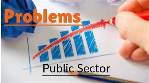 Problems and Challenges of Public Enterprises in India Kindle Editon