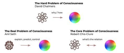 Problems of Consciousness PDF