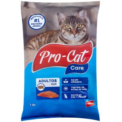 Procat: A Comprehensive Guide to Pet Care and Supplies