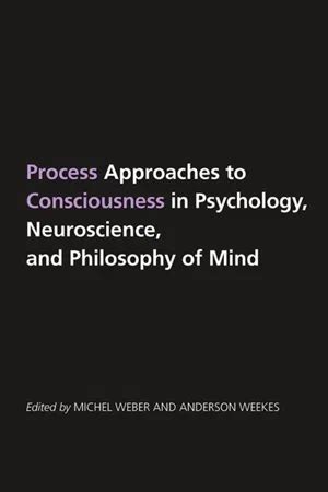 Process Approaches to Consciousness in Psychology PDF