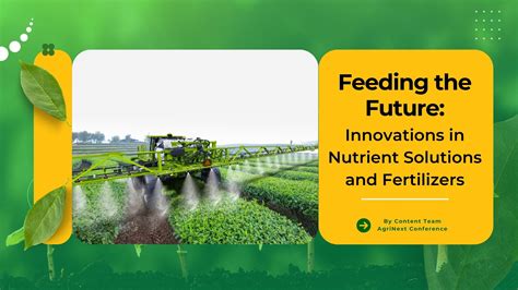 Production Line Liquid Fertilizers: Essential Facts and Future Innovations