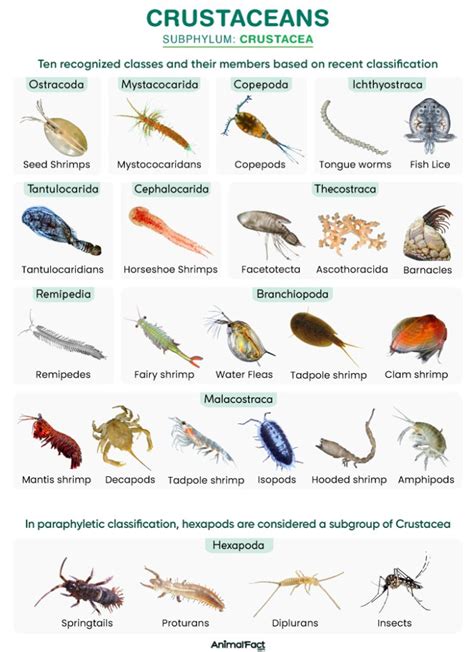 Production of Aquatic Animals Crustaceans Reader