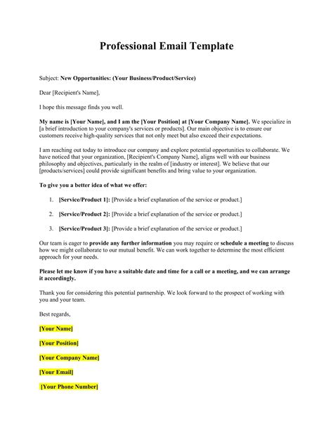 Professional Email Template