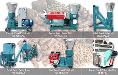 Professional Pelletizing Machine: 101 Everything You Need to Know to Maximize Pellets Production