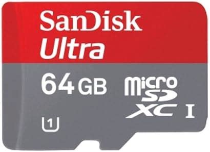 Professional SanDisk MicroSDXC formatted recording PDF