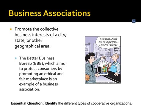 Professional and Business Associations: