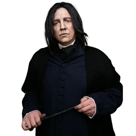 Professor Snape Wig: The Ultimate Guide