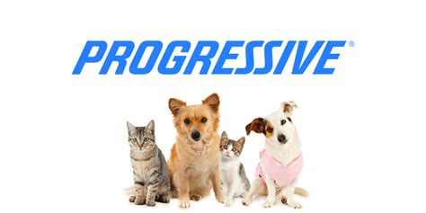 Progressive Pet Insurance Reviews: 2023 Guide