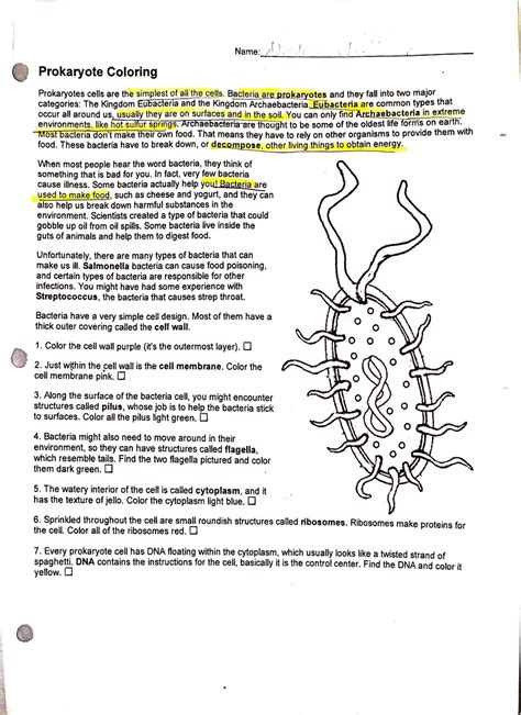 Prokaryote Coloring And Review Answers Reader