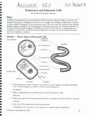 Prokaryotes Bacteria Packet Answers Epub