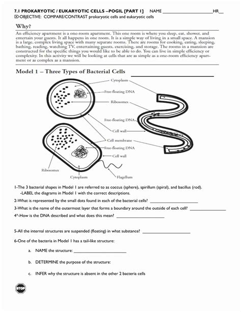 Prokaryotes Worksheet Answers Epub