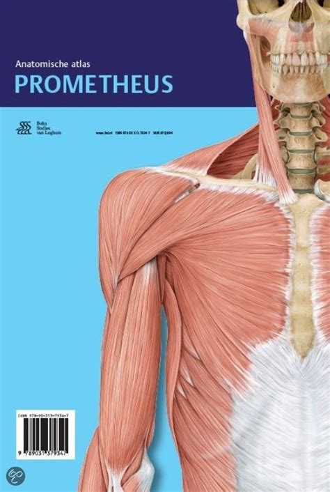 Prometheus Anatomie Atlas Ebook PDF