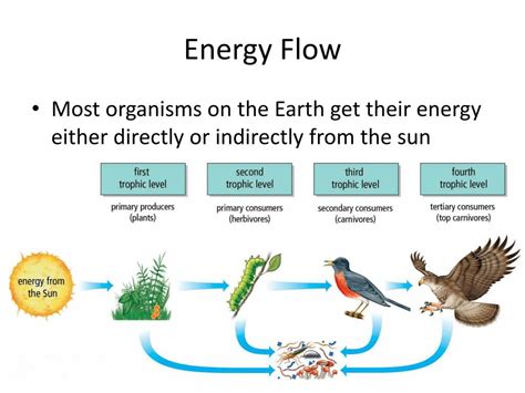 Promote Energy Flow: