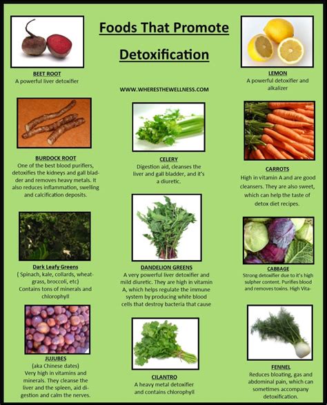 Promote detoxification: