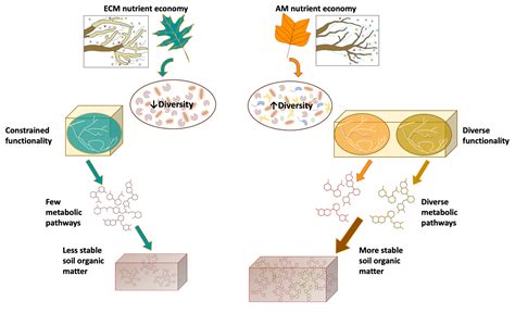 Promote microbial diversity: