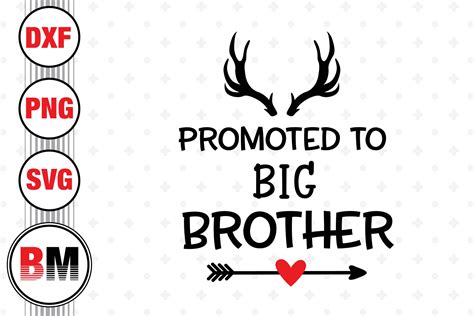 Promoted to Big Brother: Celebrating the Arrival of a New Family Member