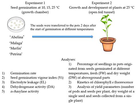 Promotes Germination: