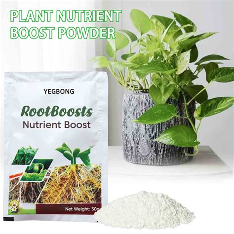 Promotes Strong Root Growth: