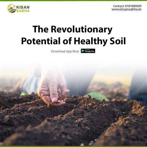 Promotes healthy soil: