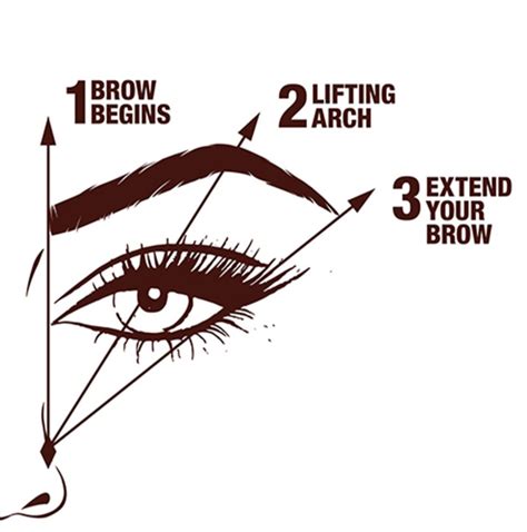 Proper Brow Shape: 3 Easy Steps to Frame Your Face